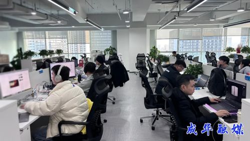 出海升級，攻堅克難 成都成華科技企業開啟2026沖刺模式